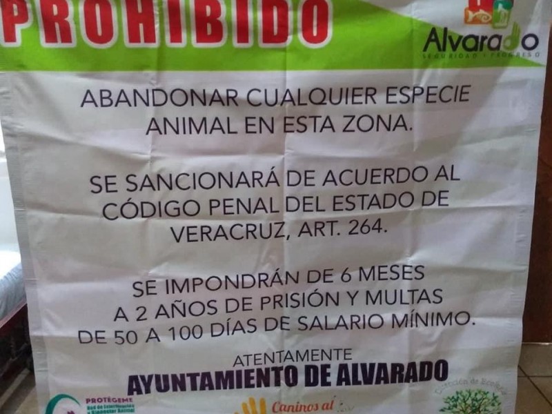 Sancionarán a quiénes abandonen animales en 