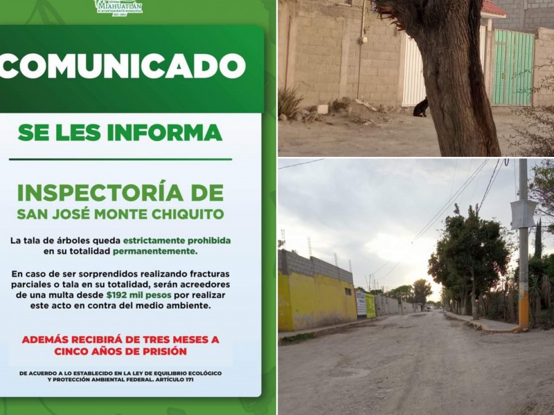 Sancionarán con cárcel la tala de árboles en Monte Chiquito