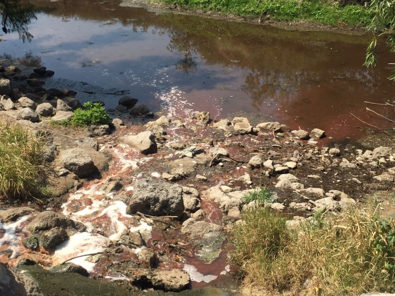 Sangre y olores fétidos por descargas del rastro