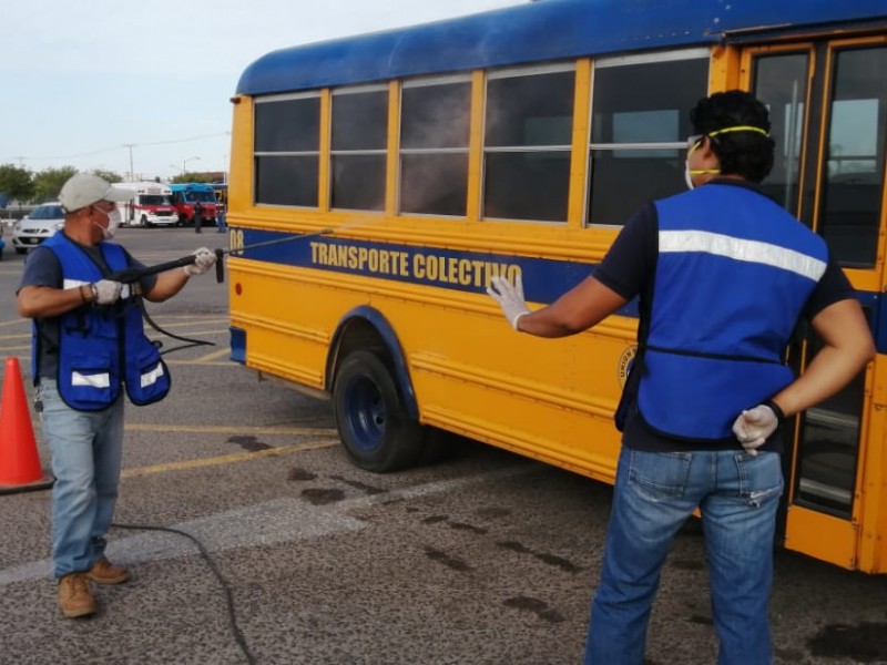 Sanitizan unidades de transporte público