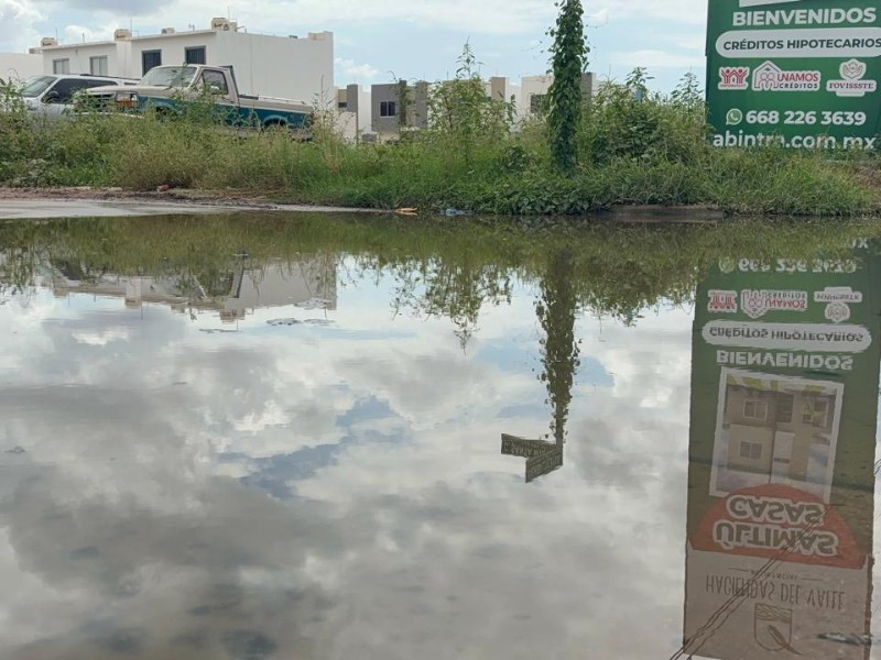 Santa Alicia y Haciendas del Valle enfrentan crisis por drenaje y moscos