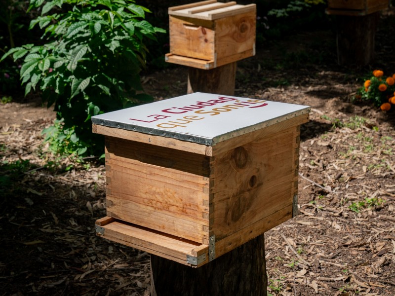 Santuario de abejas permitirá la proliferación de polinizadores de Tepic