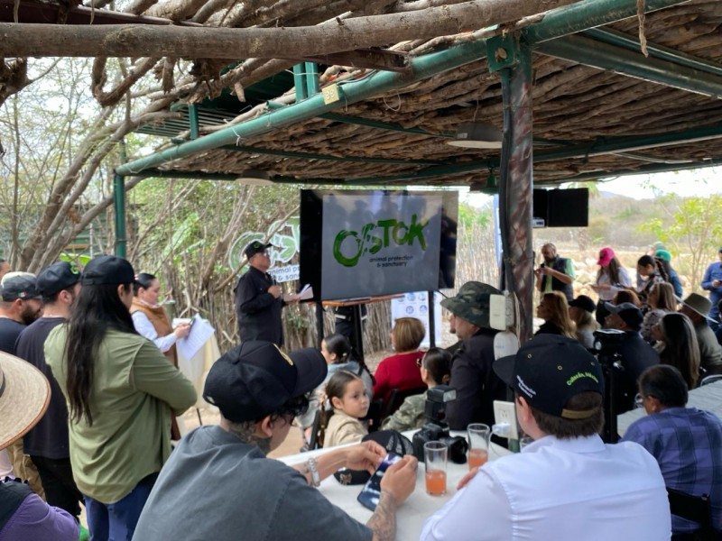 Santuario Ostok ha rescatado Mil 800 animales