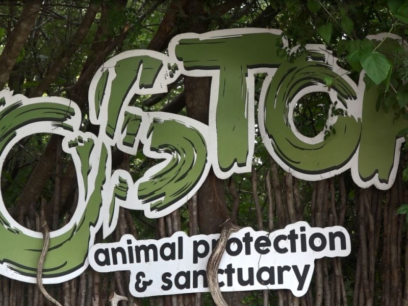 Santuario Ostok, ha reubicado a cientos de especies en habitat