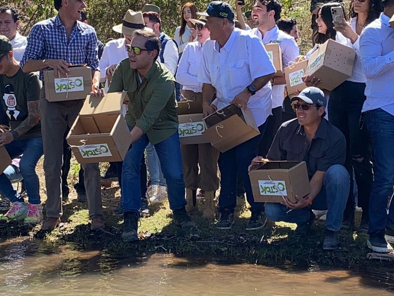 Santuario Ostok libera 80 ejemplares de cinco especies diferentes