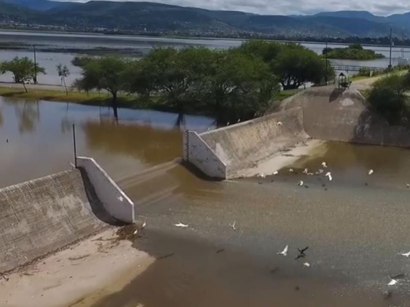 Sapal descarta tandear agua en más colonias por sequia