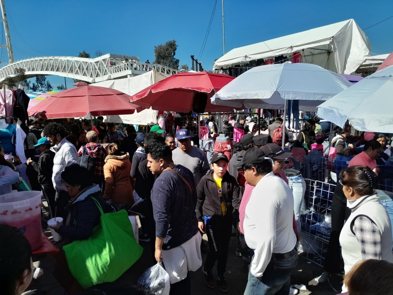Saturan mercado de Palmillas mexiquenses