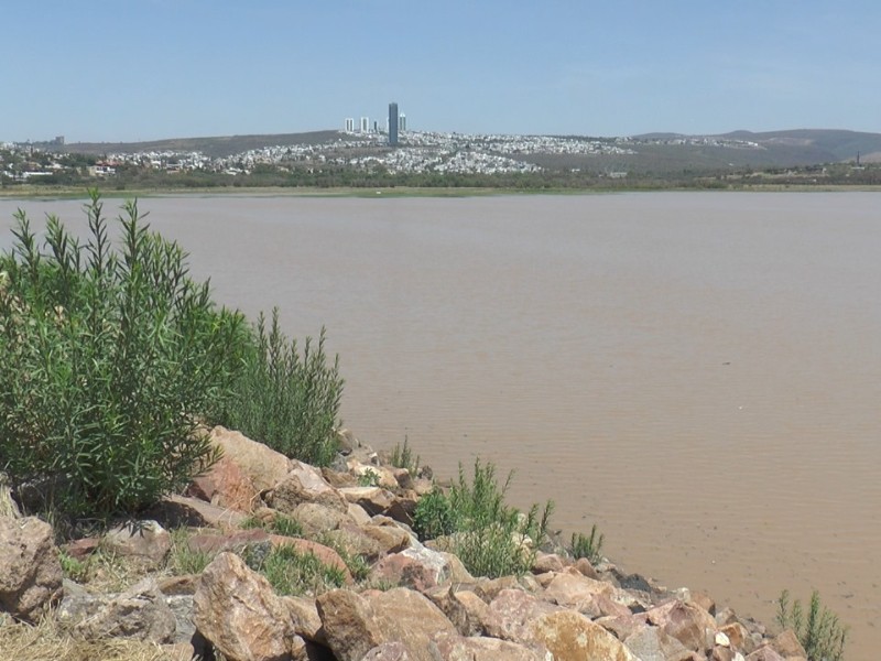 Se abren compuertas de la presa El Palote para iniciar desfogue