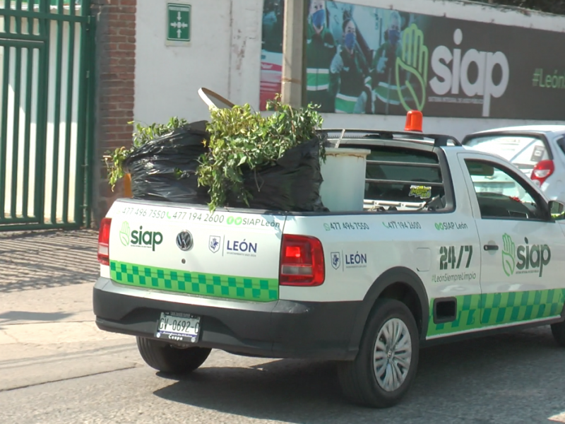 ¿Se acabó la navidad, a dónde llevar el árbol?