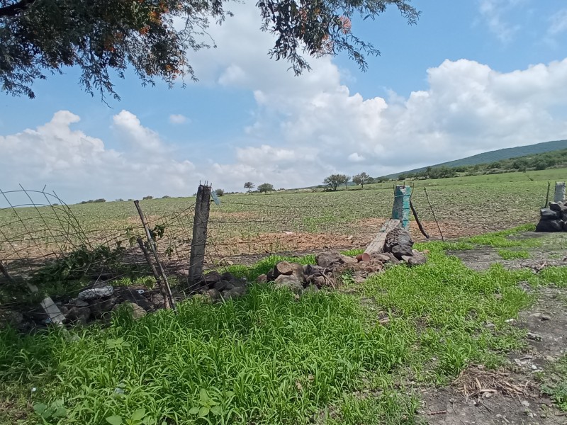 Se activa Precontingencia atmosférica en Salamanca