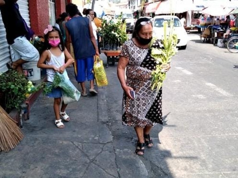 Se activa venta de palmas por Domingo de Ramos