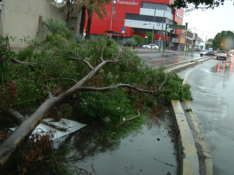 Se acumularon 45 ml de lluvia este sábado