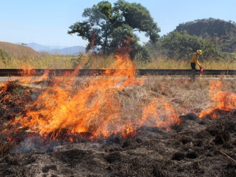 Se adelanta temporal de incendios forestales; Nayarit 100 hectáreas afectadas