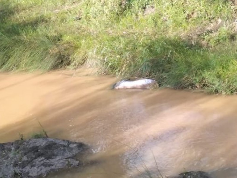 Se ahoga hombre en río de Tepechitlán