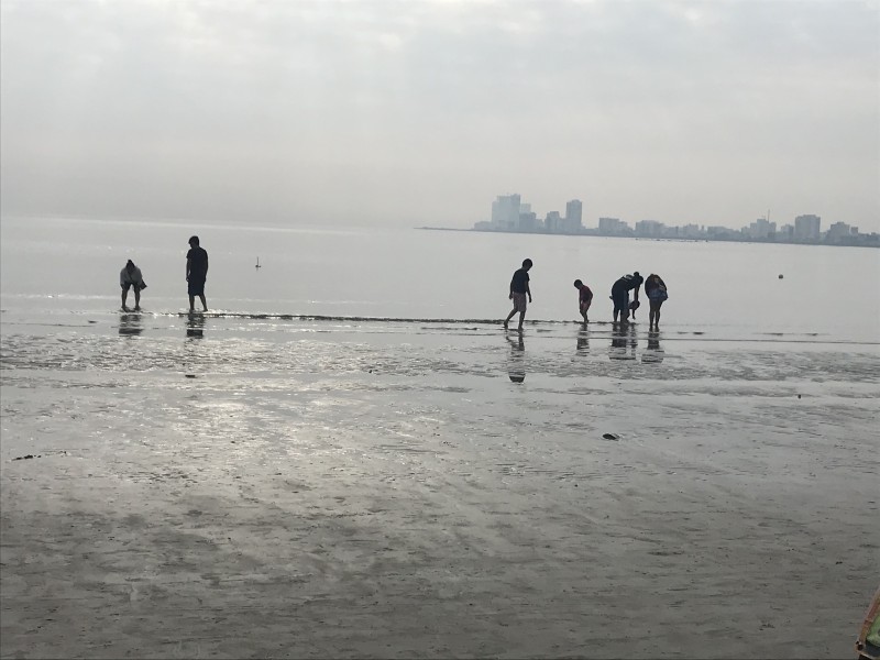 Se aleja el mar de playas de Veracruz