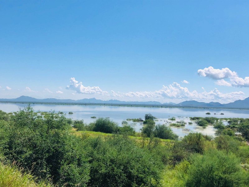 Se alejan esta semana lluvias de Sonora