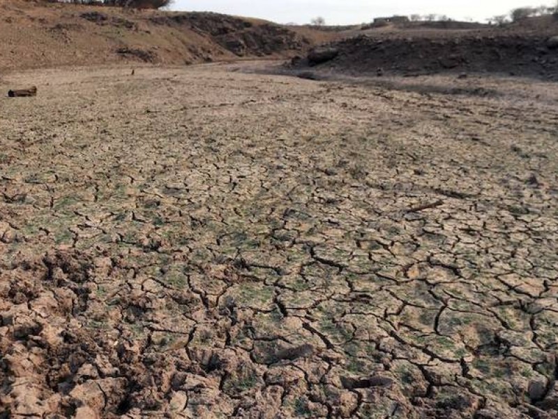 Se apodera sequía del norte de México