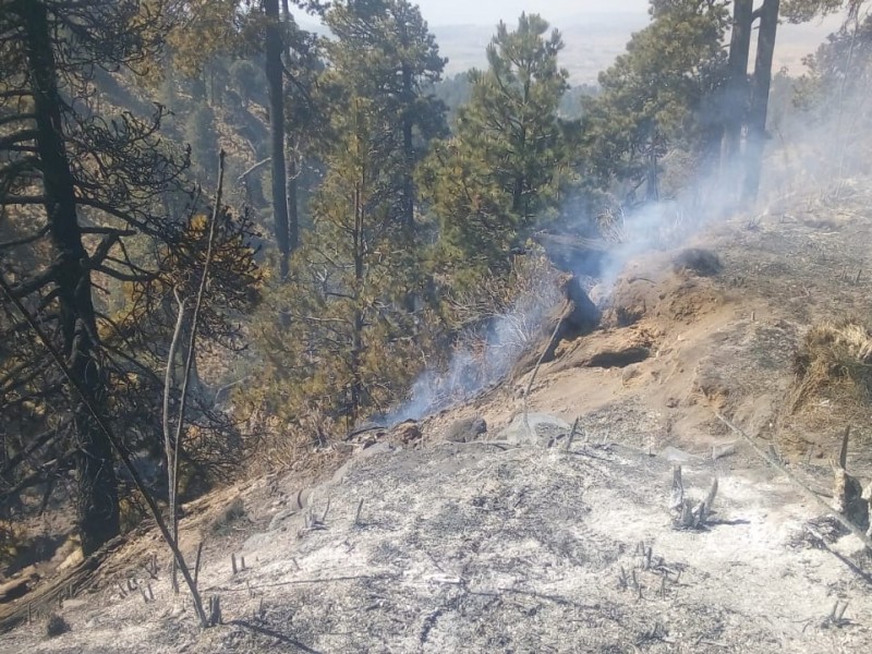 Se atienden 12 incendios forestales en Puebla