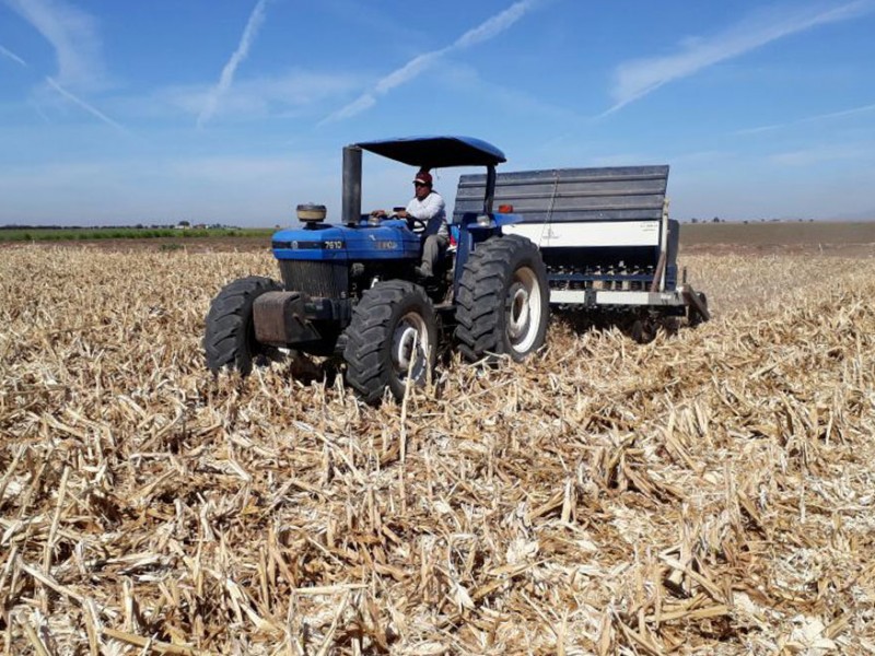 Se avecina crisis financiera podrían caer en cartera vencida agricultores