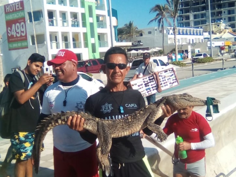 Se bañaba como todo un turista