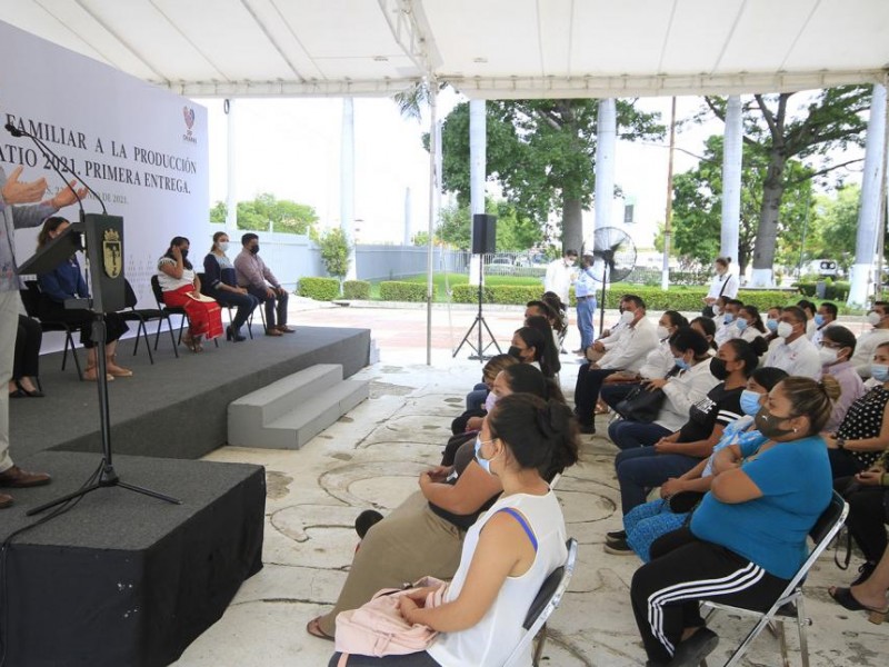 Se beneficia a 8 mil 750 mujeres con proyectos familiares