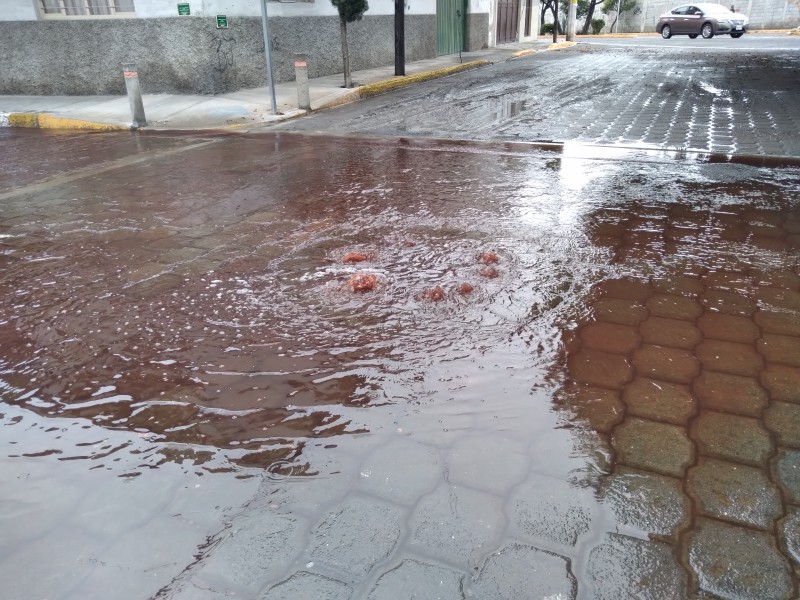 Se bota drenaje con residuos cárnicos en colonia Nicolás Bravo