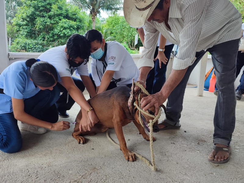 Se busca acercar Salud Canina a comunidades rurales