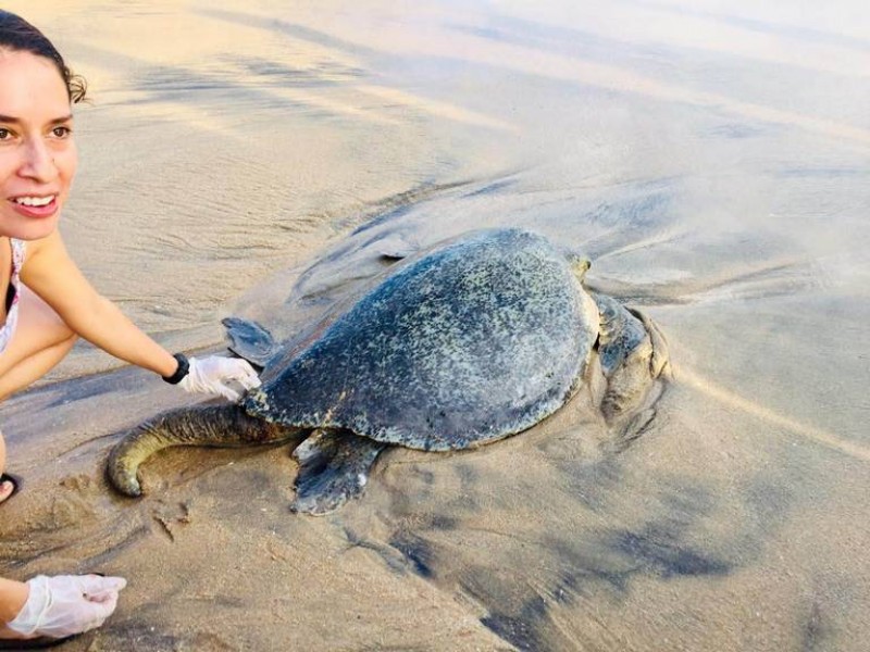 Se capacita personal de campamentos tortugueros