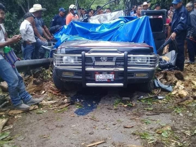 Se confirman muertes por caída de árbol en Solosuchiapa