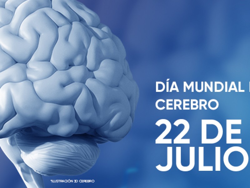 Se conmemora hoy el Día Mundial del Cerebro