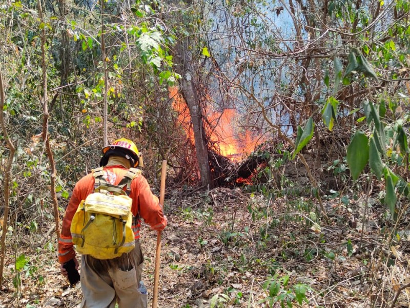 Se consumieron 170 hectáreas en 4 incendios en Mactumatzá