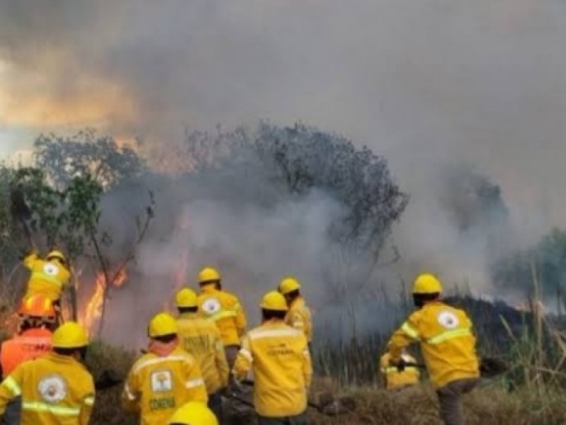 Se consumieron más de 70 mil hectáreas por incendios