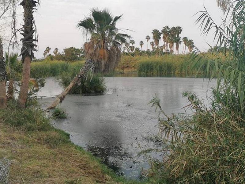 Se contará con maquinaria especializada para limpieza del Estero