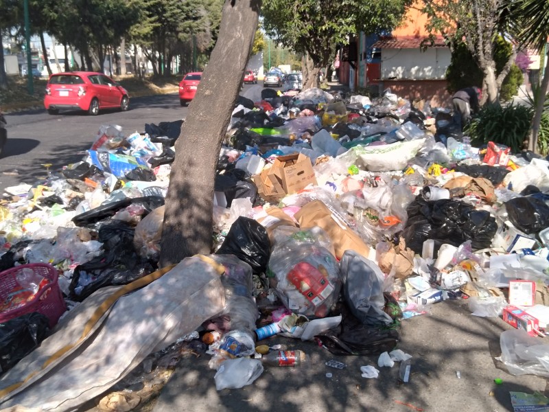 Se convierte Toluca en basurero