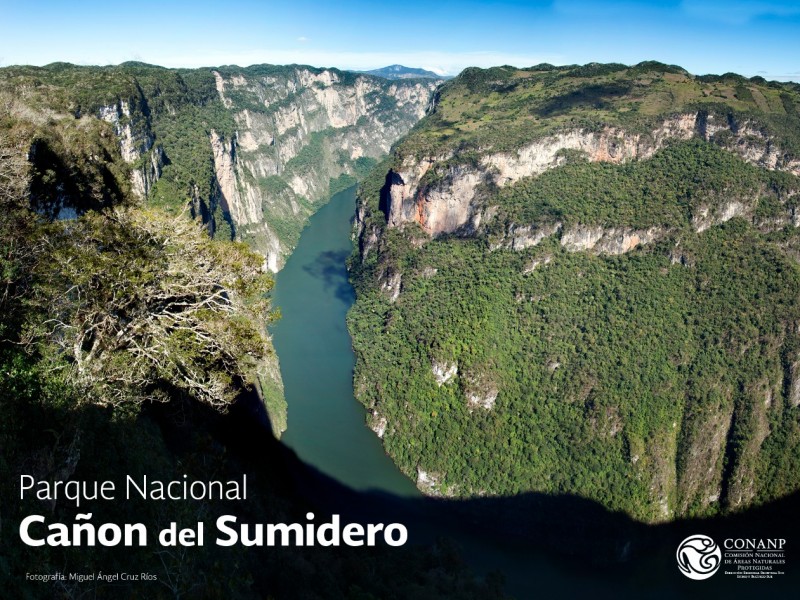 Se cumplen 41 años del decreto de Área Natural Protegida del Cañón del Sumidero