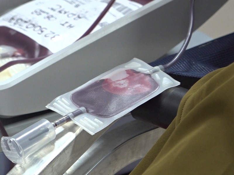 Se debe promover la cultura de la donación de sangre: especialista