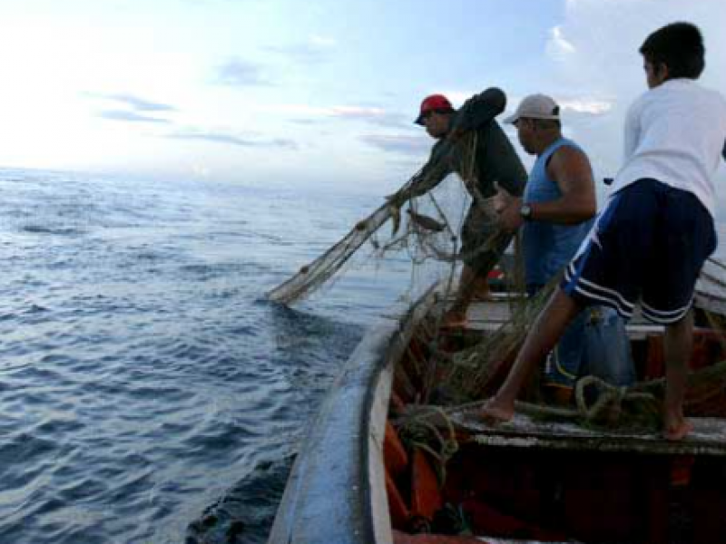 Se desata pesca furtiva en Topolobampo, denuncian pescadores