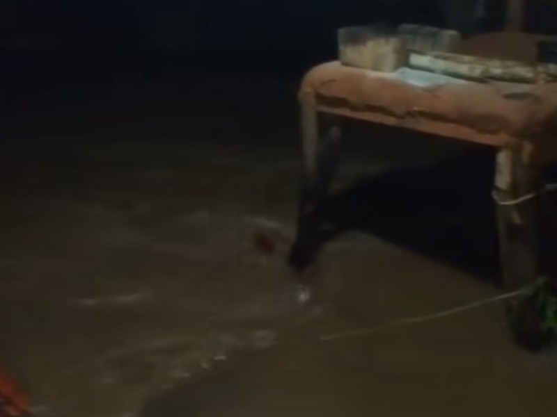 Se desborda arroyo El Tamarindo en Coyuca; el agua ingresa a viviendas