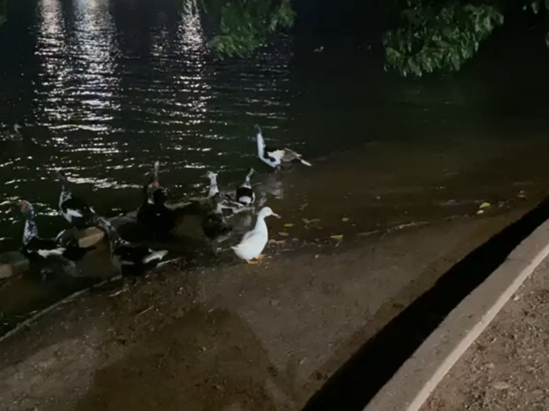 Se desborda la Laguna del Náinari por las lluvias