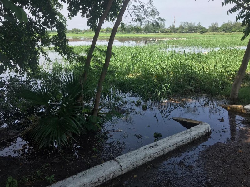 Se desborda Laguna de Lagartos en Veracruz.