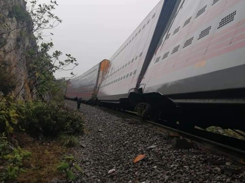 Se descarrila tren en los límites de Veracruz y Puebla