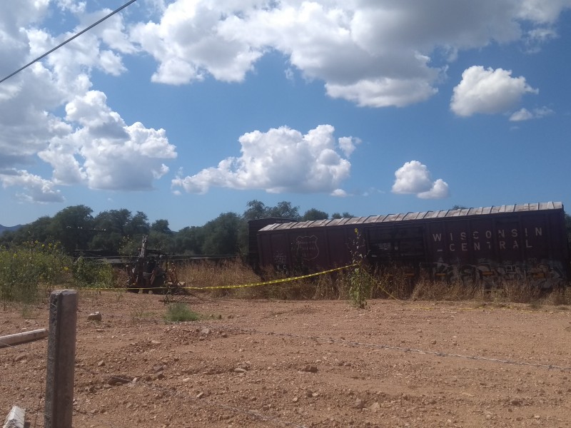 Se descarrilan 9 vagones del ferrocarril