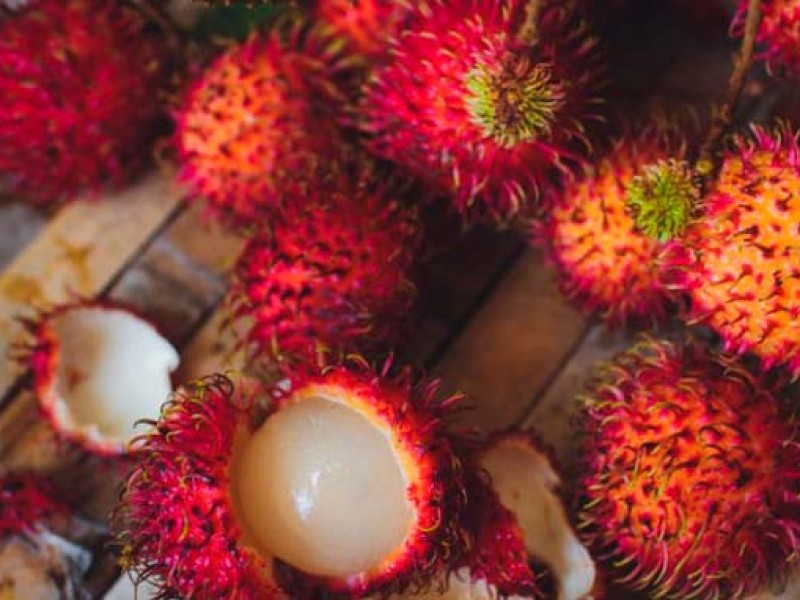 Se desploma precio de rambután; causa afectaciones