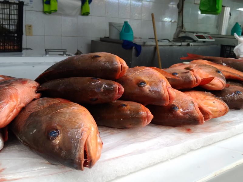 Se desploma venta de pescados y mariscos en mercados