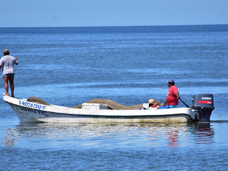 Tienen bajas ventas pescadores de Bahía de Kino