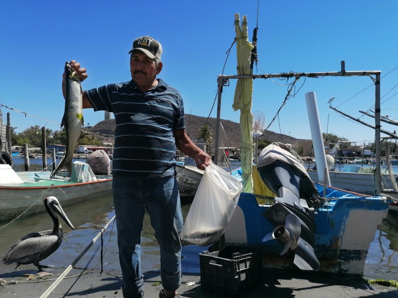 Se desploman capturas en cooperativas de Topolobampo