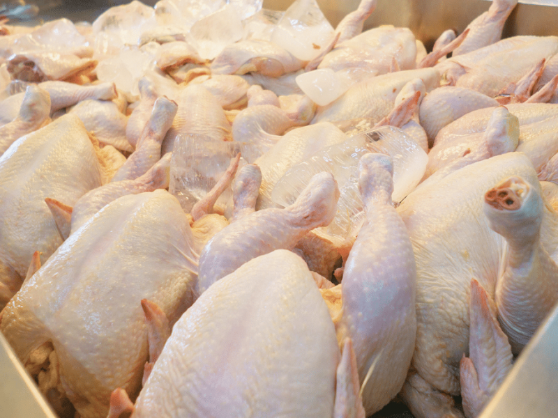 Se dispara precio del kilogramo de pollo en Chiapas
