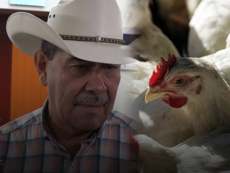 Se encienden alarmas por brote de gripe aviar