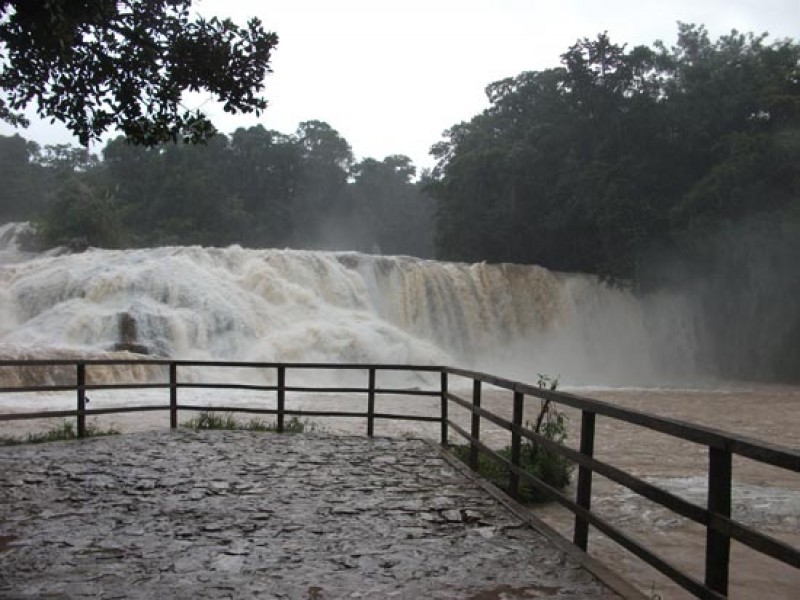 Se enturbia belleza de Cascadas de Agua Azul