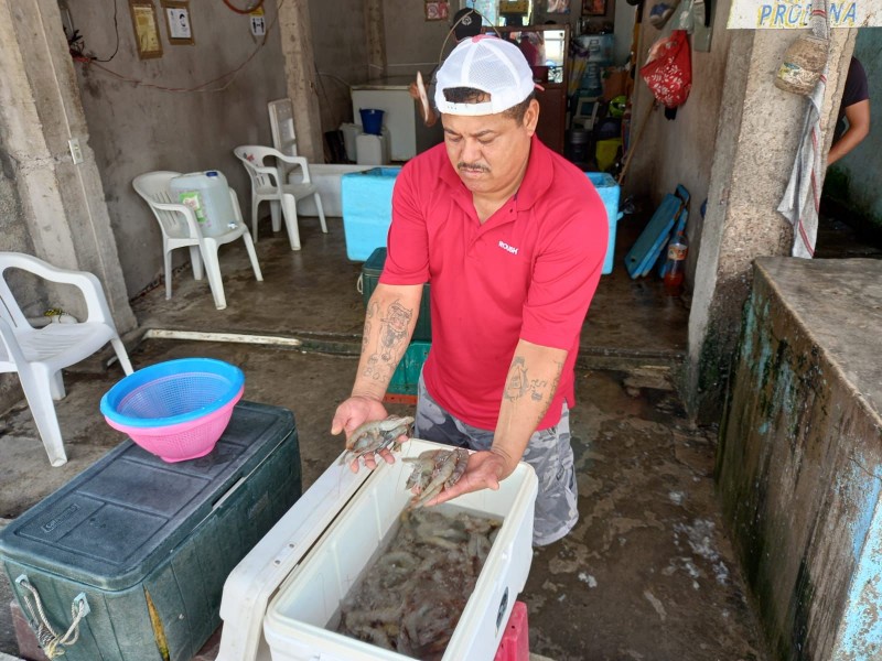 Se esfuerzan por cumplir con pedidos en pescaderías de Tuxpan